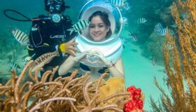 Immerse in Vietnam’s natural heritage with visa preparation